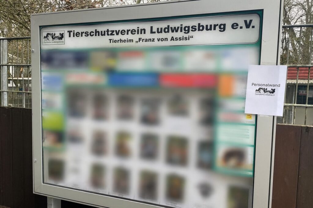 Tierschutzverein Ludwigsburg e.V.